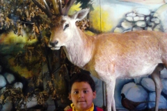 IMG_20120718_114036